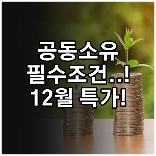공동 소유 차량 담보대출 필수 조건과..
