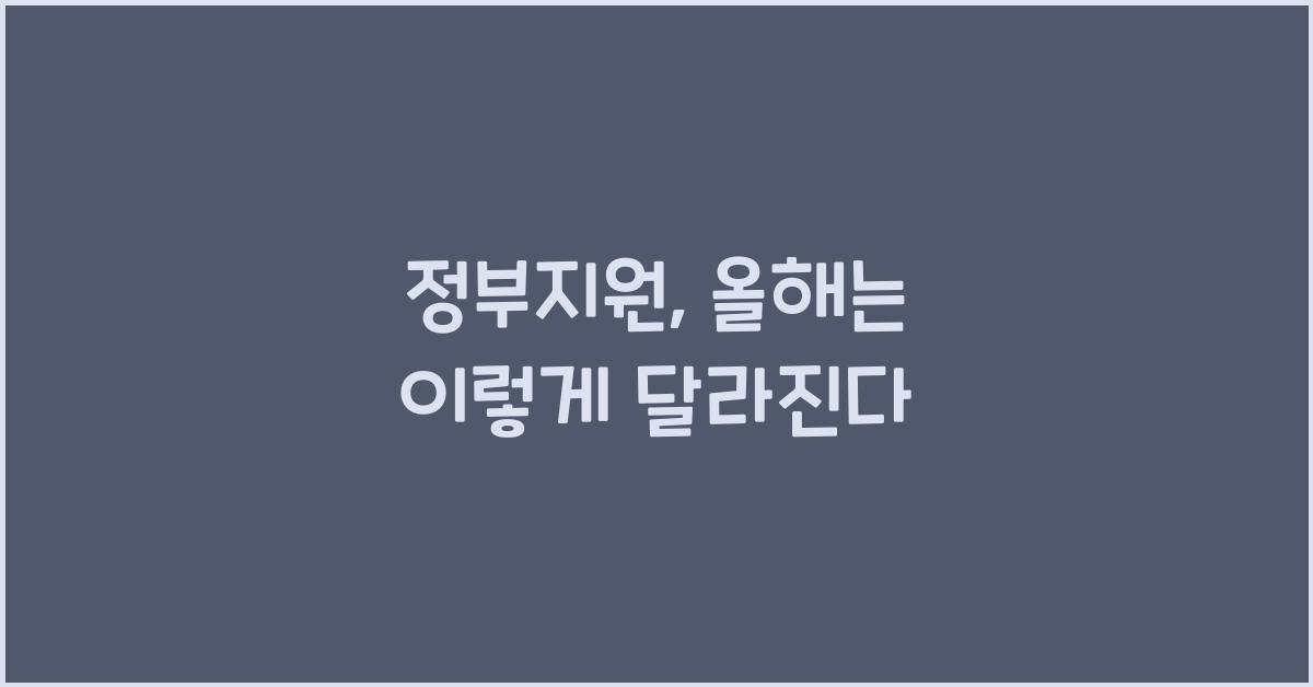 정부지원