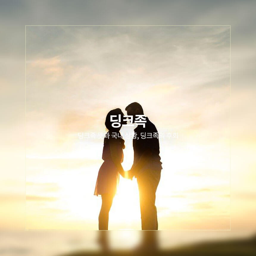 “딩크족-뜻-국내-상황-딩크족-후회”