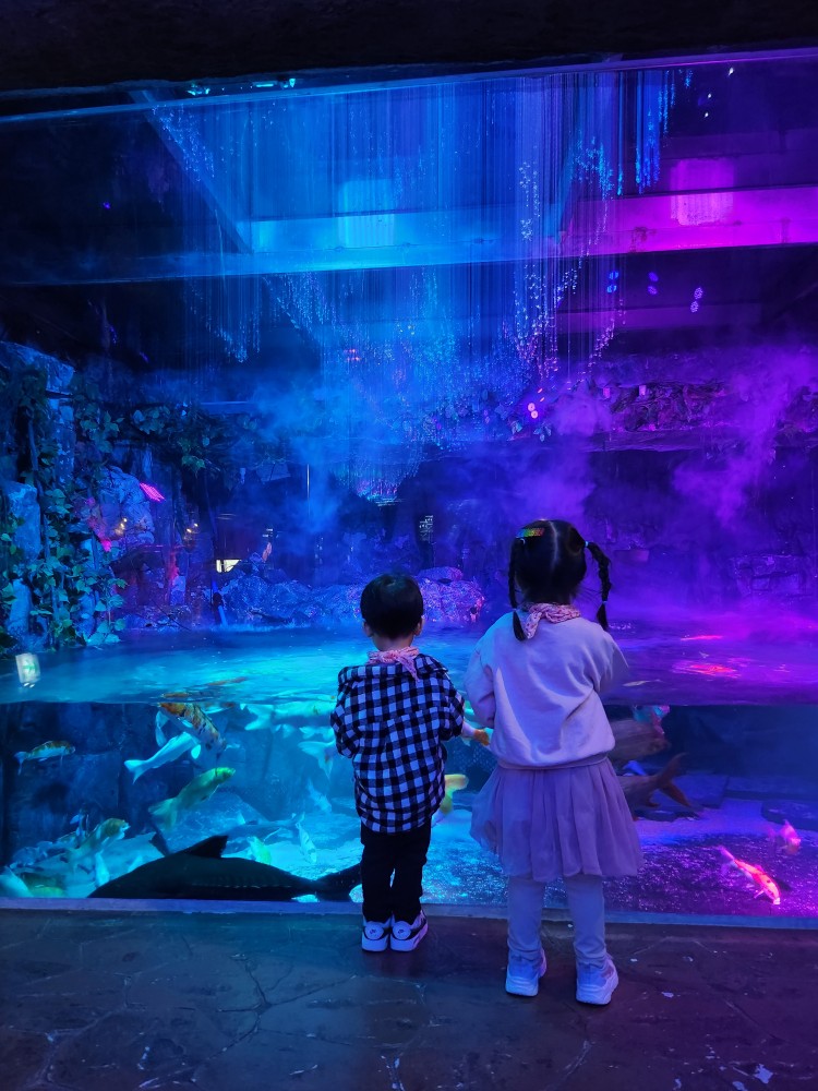 아쿠아리움을 구경하는 아이들