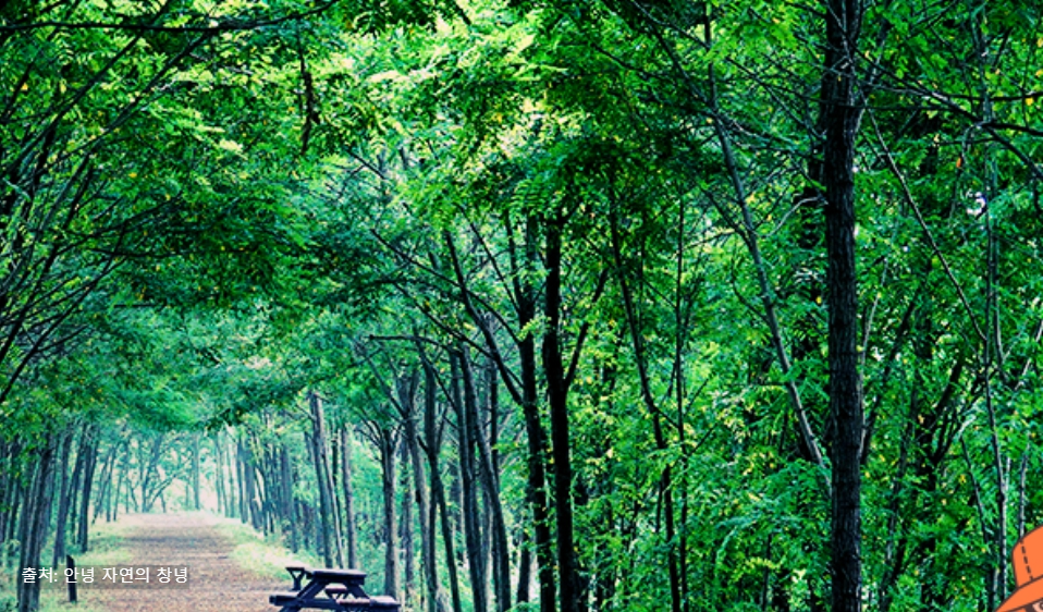 창녕 관광지 추천