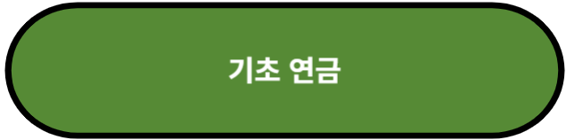 기초 연금