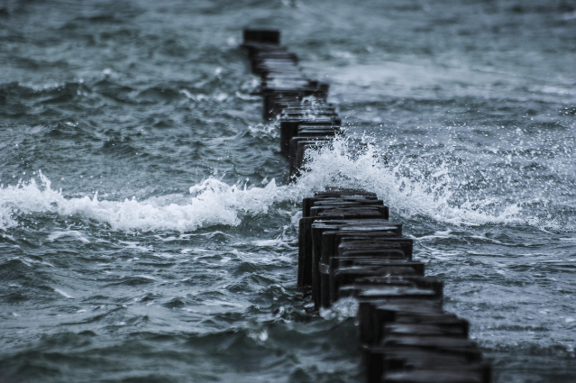 제로웨이스트 도시의 미래, 지속 가능한 도시 설계와 시민 참여 모델