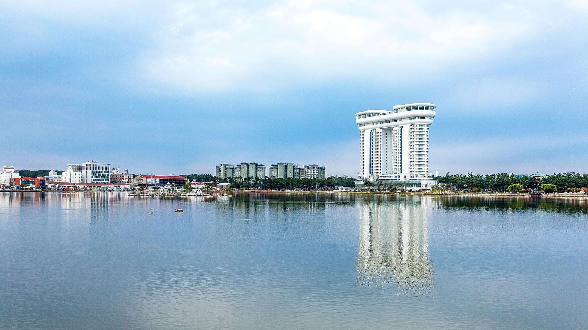 강릉 사근진 해변 유채꽃밭