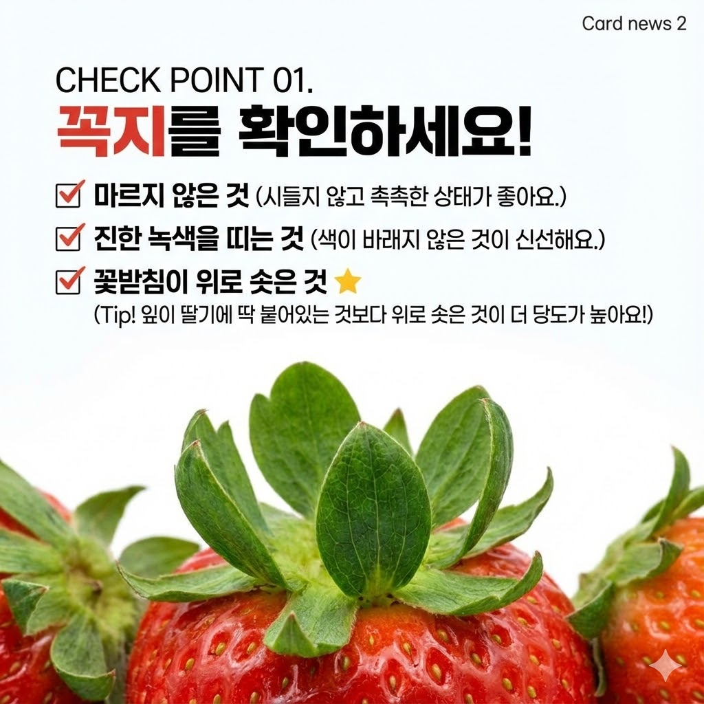딸기고르는법