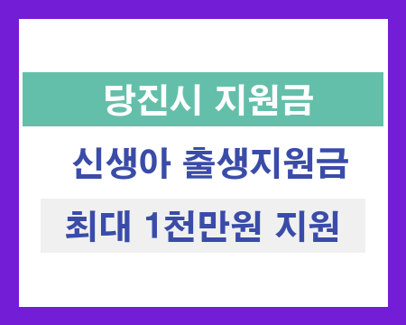 당진시 신생아 출생지원금 혜택 안내