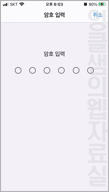아이폰 암호 입력