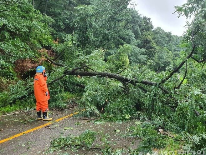 집중호우 재해지원금 신청