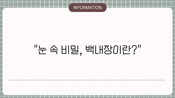 백내장 예방과 관리