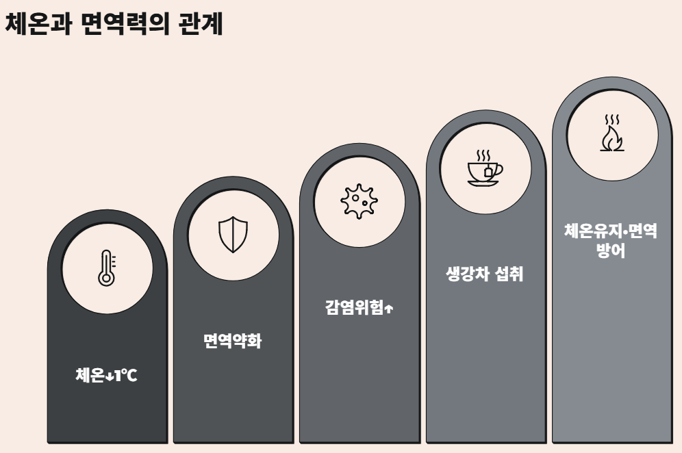 생강차 효능 부작용 감기와 면역력에 좋은 이유