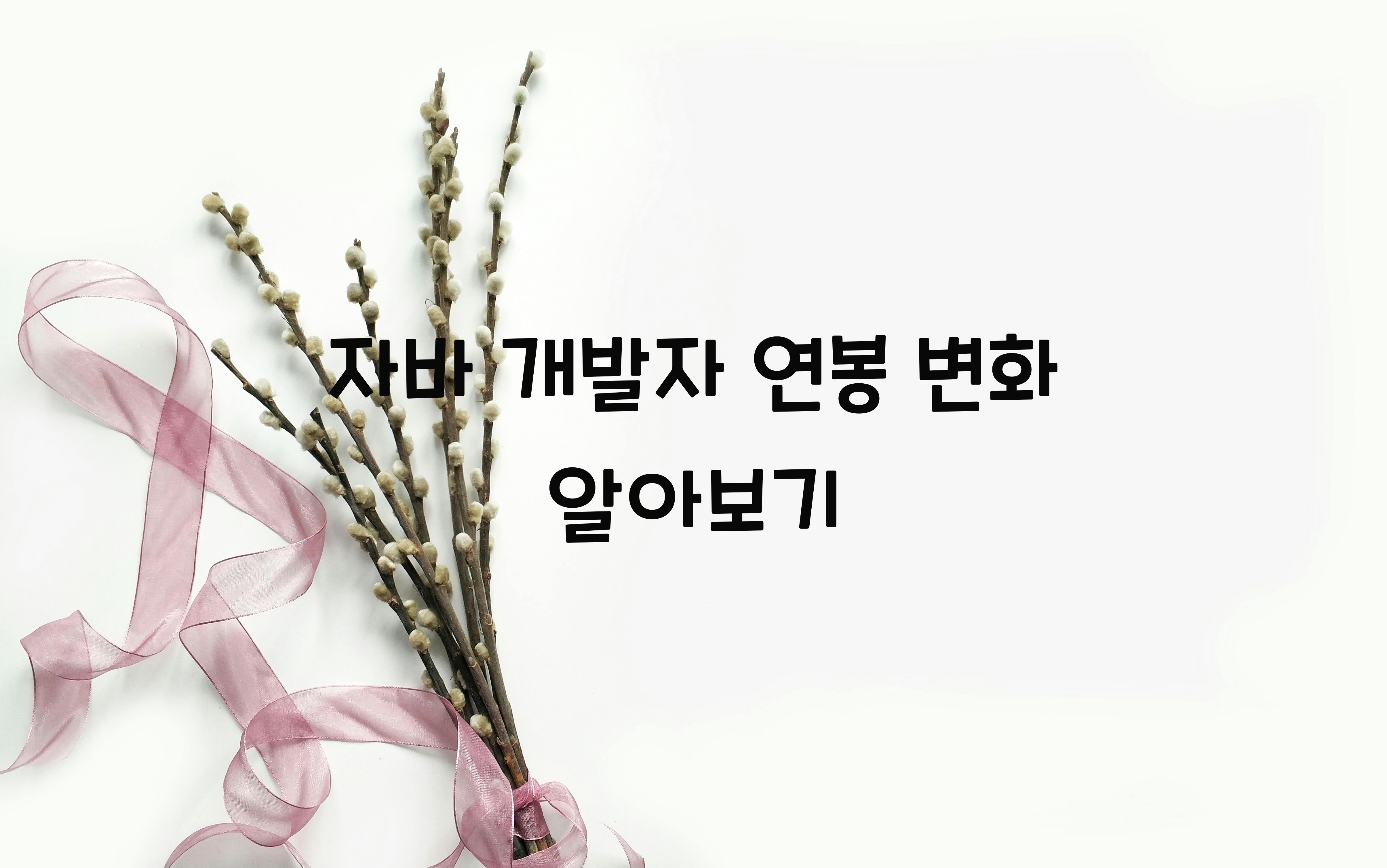 자바 개발자 연봉