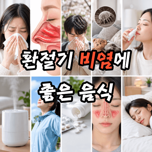 환절기 비염에 좋은 음식