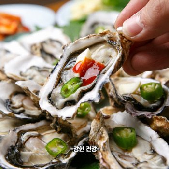 굴 효능