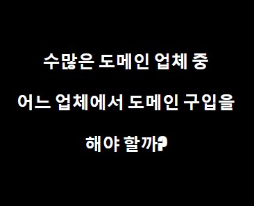 [실제 웹 서비스 준비] 수많은 도메인 업체 중 어느 업체에서 도메인 구입을 해야 할까?