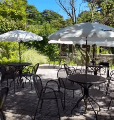 호암미술관 카멜 야외 