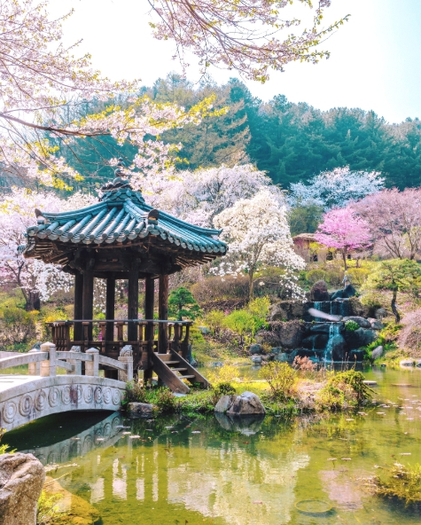 아침고요수목원 봄3