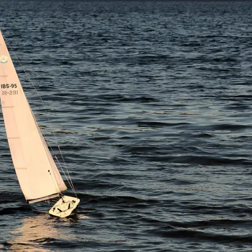 강릉 울릉도 배편