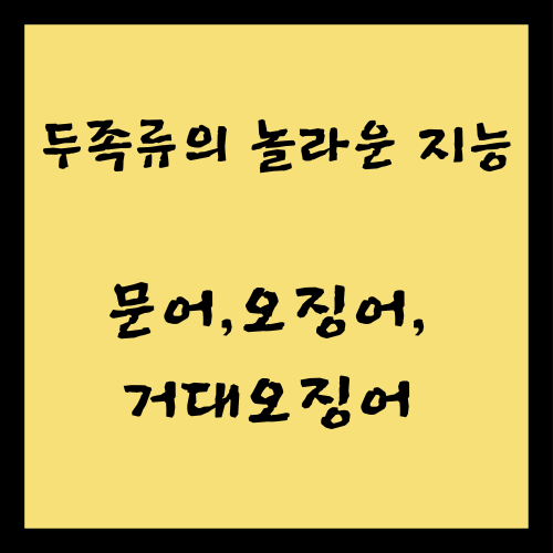 두족류의 놀라운 지능, 문어 오징어 거대오징어 3종