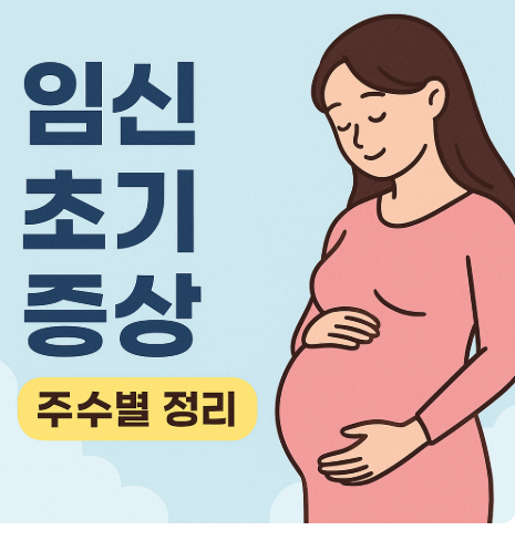임신 초기 증상 주수별 정리 관련 사진