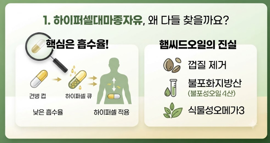 하이퍼셀대마종자유