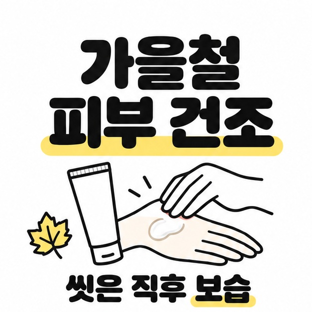 가을철 피부 건조라는 제목 아래 낙엽과 손등에 보습제를 바르는 손 그림을 배치하고 씻은 직후 보습하도록 안내하는 이미지