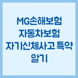 MG손해보험 자동차보험 자기신체사고 특약 알아보기