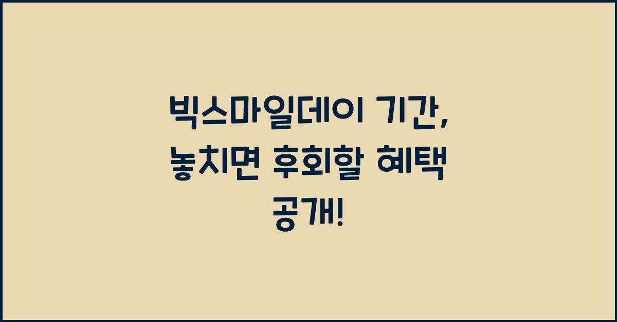 빅스마일데이 기간