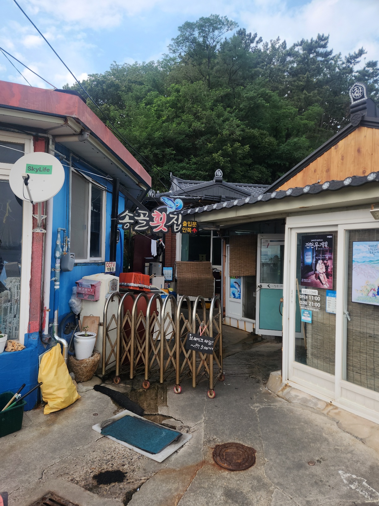  송골횟집 (회/물회 전문) / (전현무 물회 횟집)