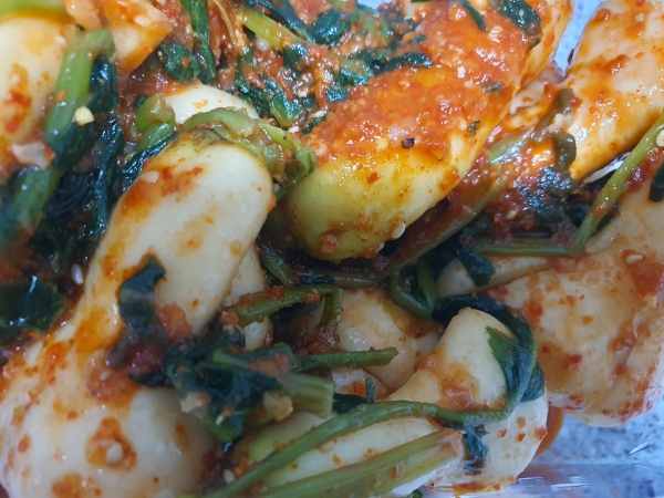 양념에-잘-버무려진-총각김치