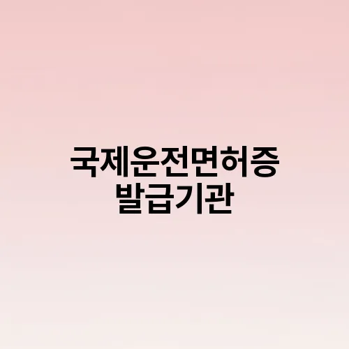 국제운전면허증 발급기관