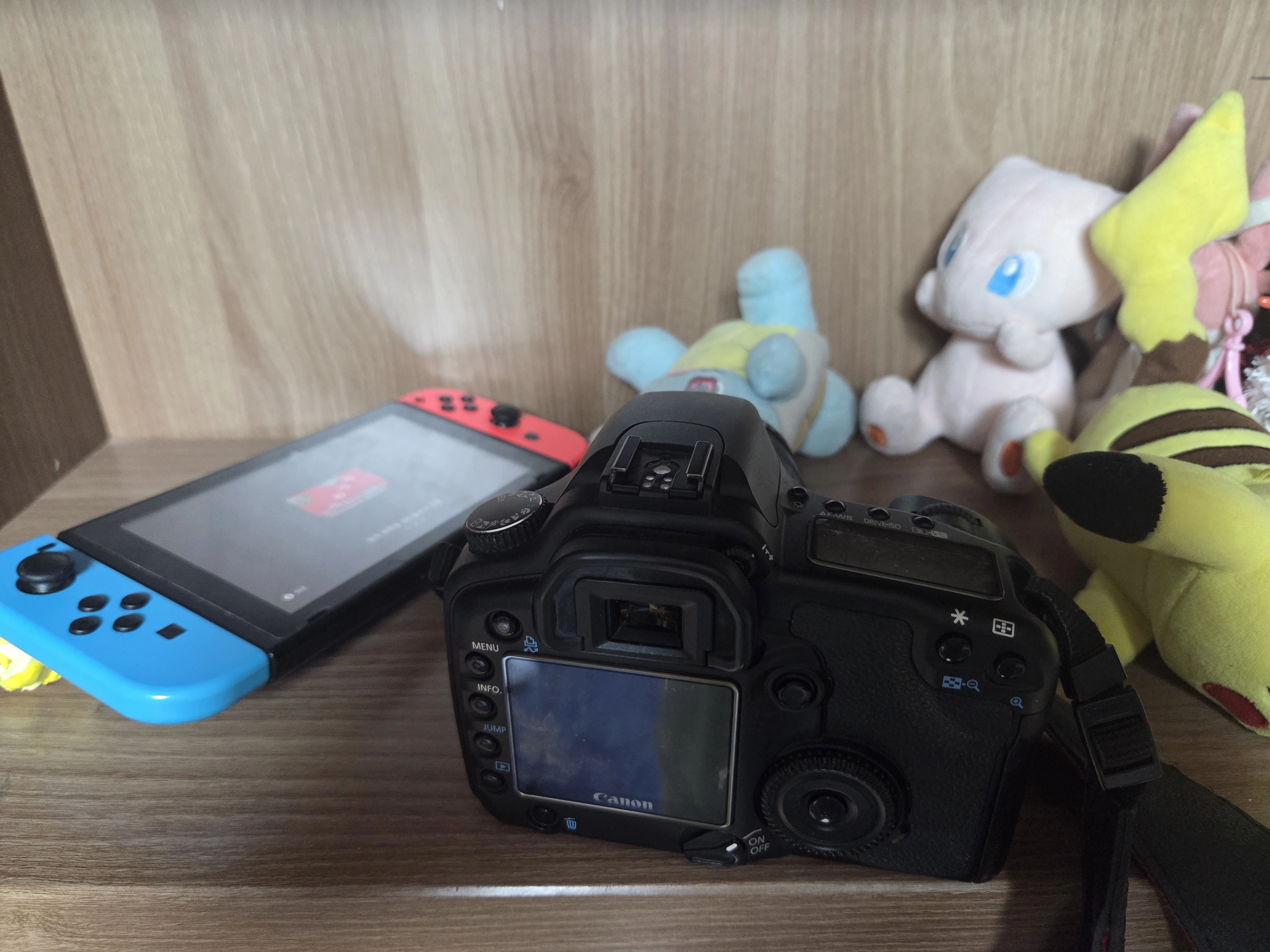 Canon EOS 30D 내부 메모리 배터리(CR2016) 방전 시 발생하는 시스템 리셋 증상과 응급 대처 가이드