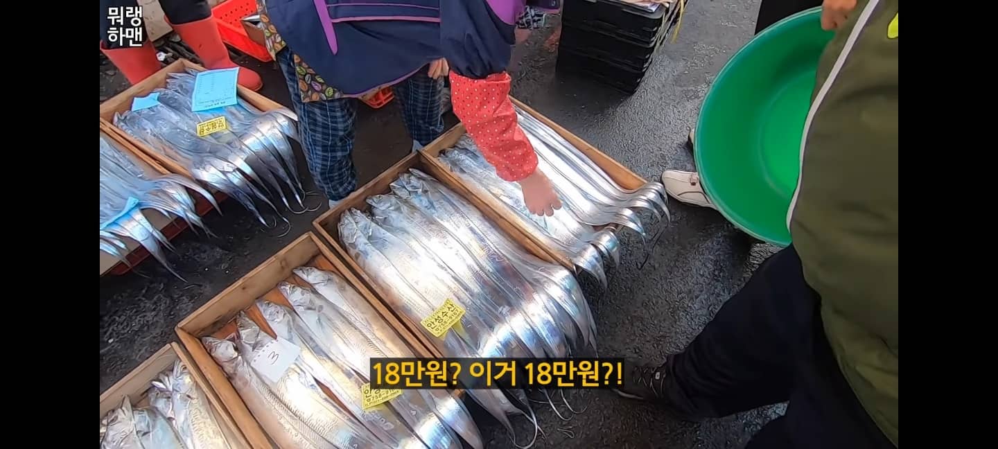 갈치 싸게 사는 방법