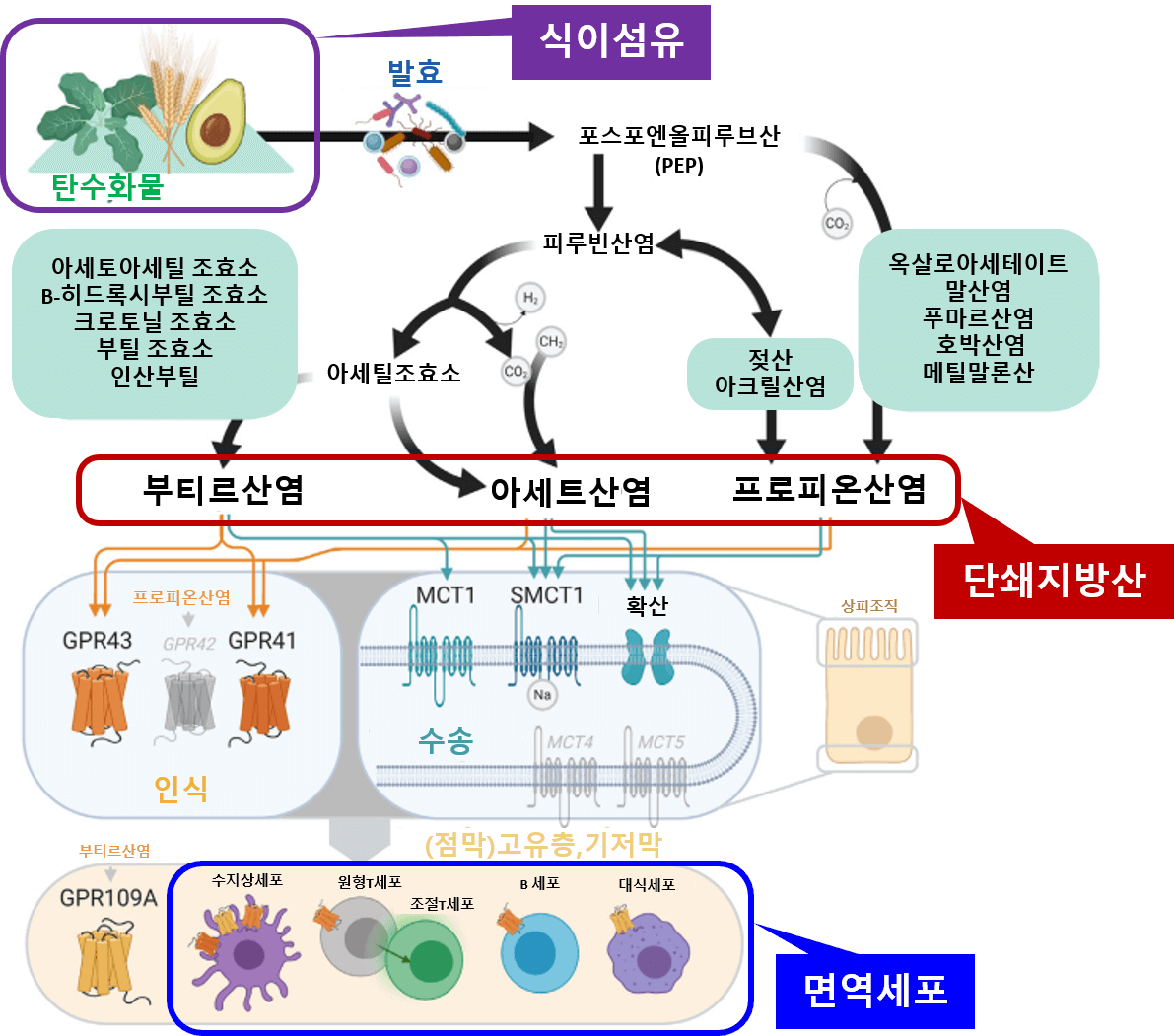 마이크로바이옴