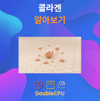 콜라겐 알아보기