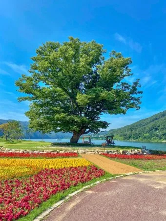 화천 가볼만한곳 베스트10 현지인 추천 필수코스_7