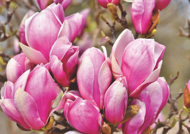 화담숲-예약하기