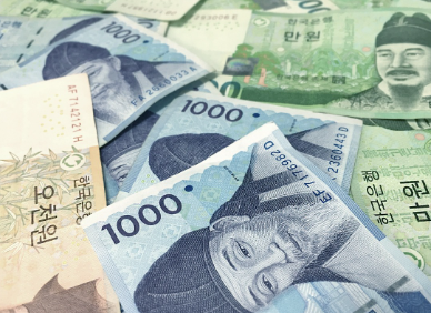 진안군-민생지원금