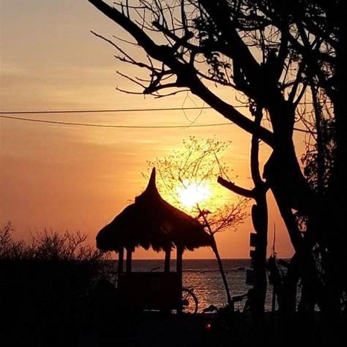 야자수 사이로 비추는 발리 해변의 선셋 분위기