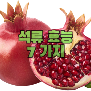 석류 효능 7가지