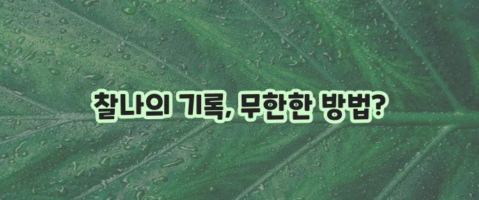 휴대폰 화면 캡처 방법