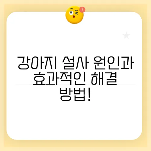 강아지 설사 원인과 효과적인 해결 방법!