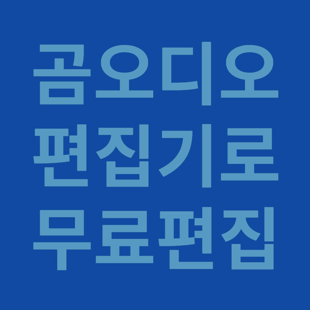 곰오디오 편집기