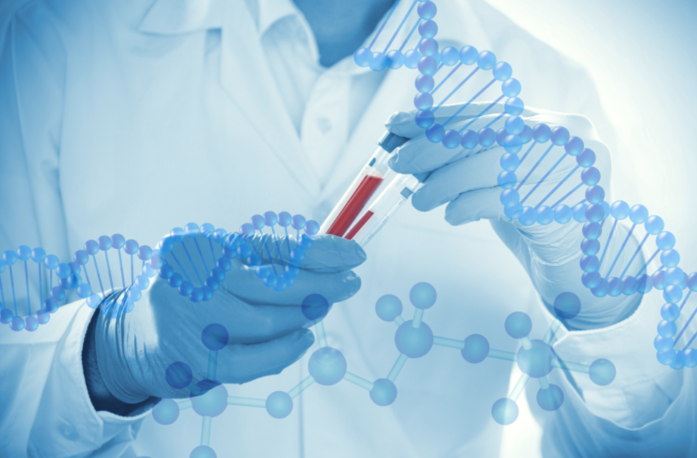 유전자를 젊게 되돌리는 기술, 현실이 되다