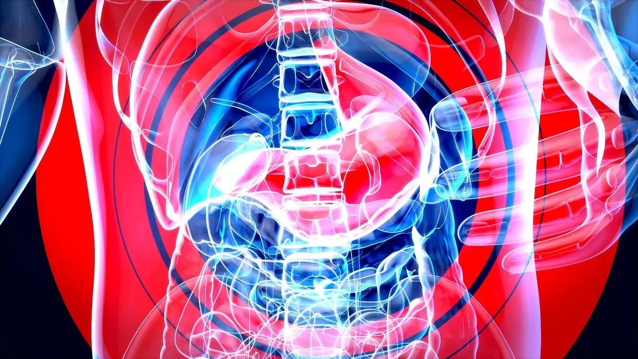 크론병 증상