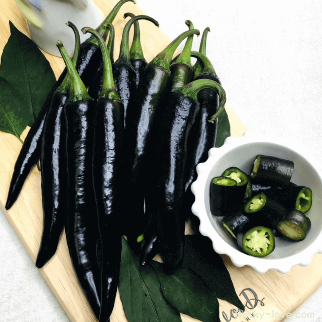 미인고추 가지고추