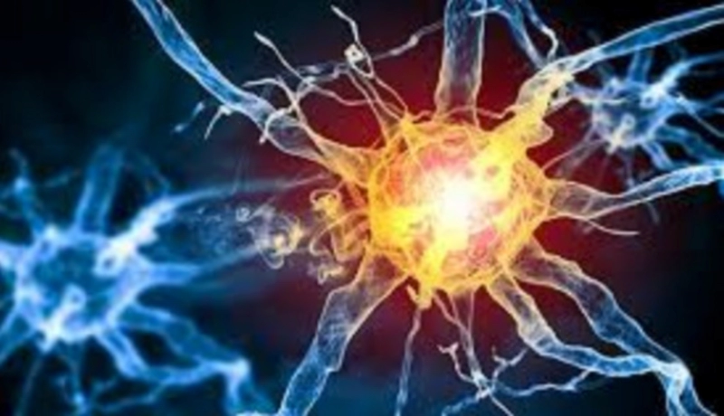 길랭 바레 증후군 기본정보