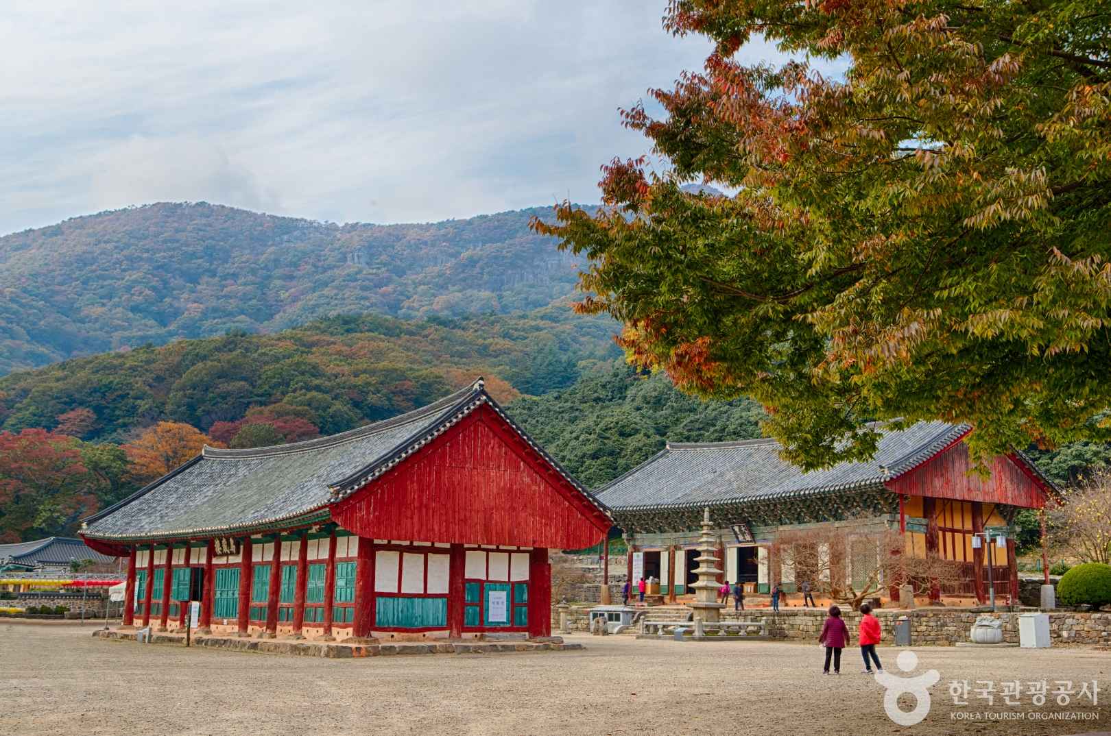선운사