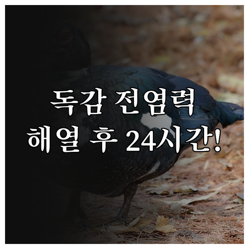 A형 독감 전염력 높은 시기와 해열 ..