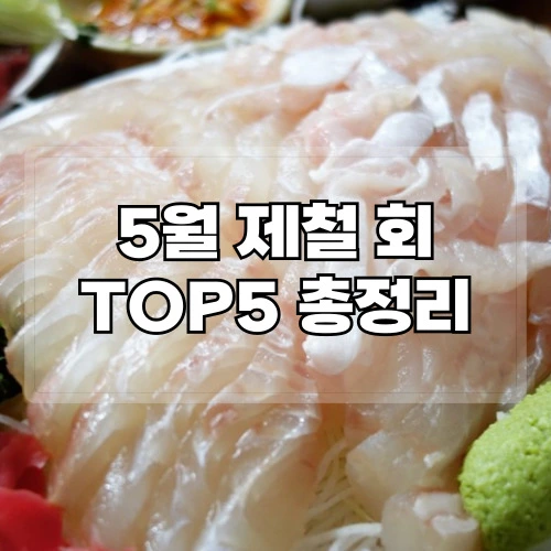 5월-제철회-TOP5-총정리