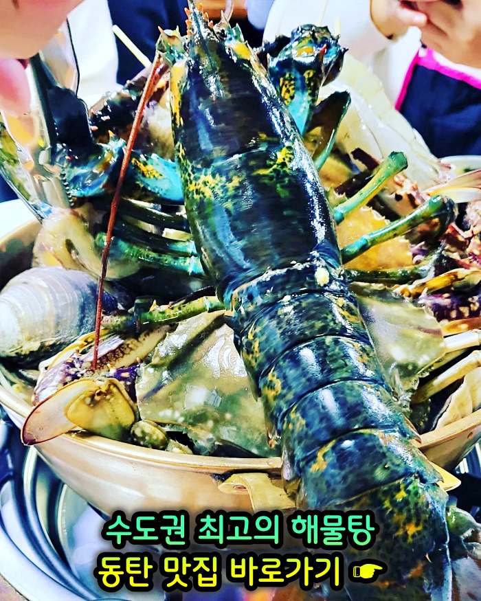 화성 동탄 맛집 수도권 최고의 해물탕